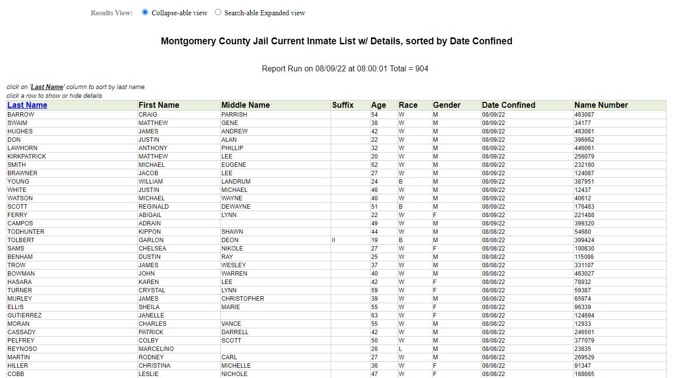 Montgomery County, Texas - Jail Roster